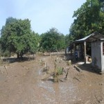 Le marché public, complètement ravage par les eaux en furie.